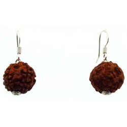 Rudraksha Sacred Seed Fishhook Earrings