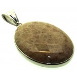 Fossilised Agate Coral Pendant