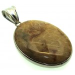 Fossilised Agate Coral Pendant