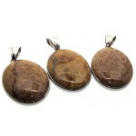 Fossilised Agate Coral Pendant