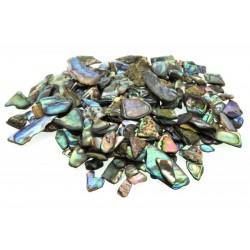 50gms Crushed Abalone Paua Shell