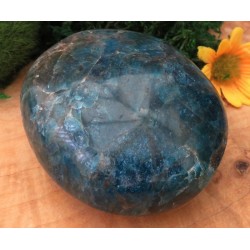 Large Apatite Gemstone Palmstone 03