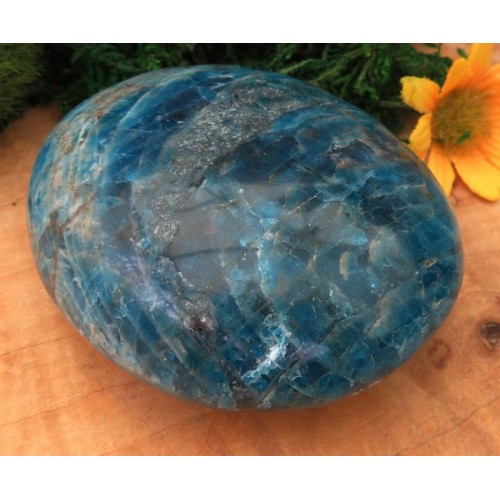 Large Apatite Gemstone Palmstone 07