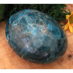 Large Apatite Gemstone Palmstone 08