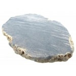 Angelite Gemstone Sliced Specimen 01