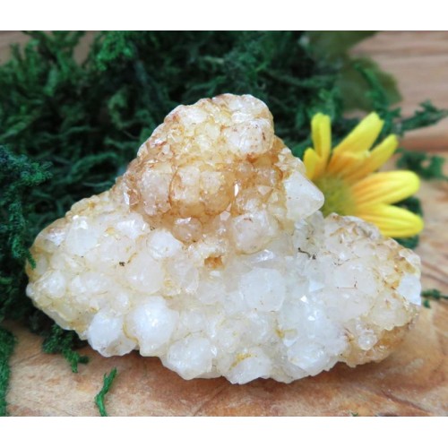 Raw Stalactite Quartz Gemstone 09