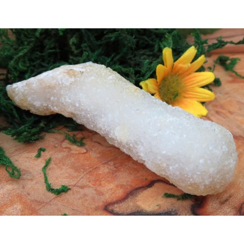 Raw Stalactite Quartz Gemstone 16