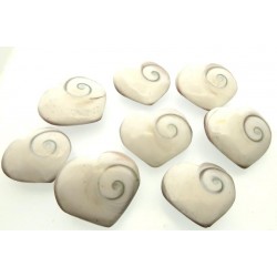 1 x Shiva Heart Shell Sacred Symbol