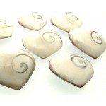 1 x Shiva Heart Shell Sacred Symbol