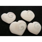 1 x Shiva Heart Shell Sacred Symbol