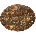 Fossilised Ammonite Plate 01