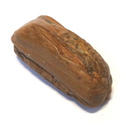 Petrified Wood Specimen 03
