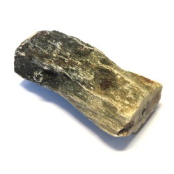 Petrified Wood Specimen 04