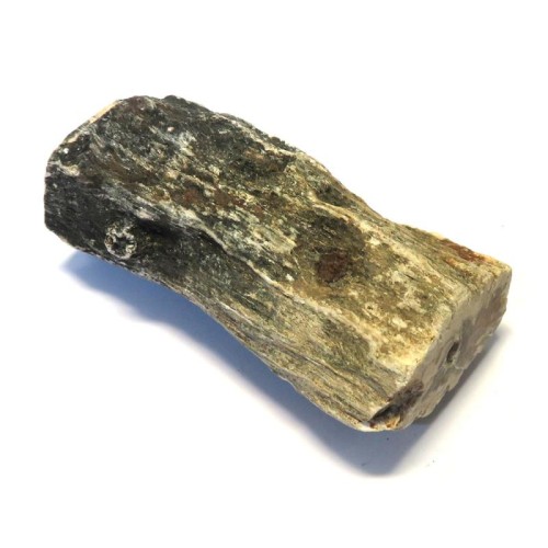 Petrified Wood Specimen 04