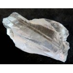 Lemurian Quartz Code Keeper of Freedom Specimen 18