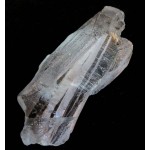 Lemurian Quartz Code Keeper of Freedom Specimen 18