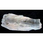 Lemurian Quartz Code Keeper of Freedom Specimen 19