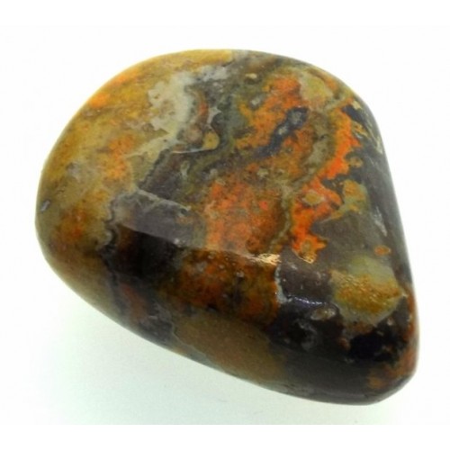 Bumble Bee Jasper Tumblestone Specimen 11