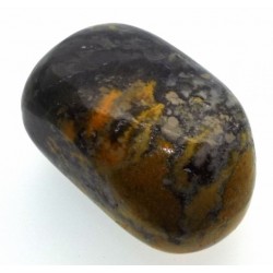 Bumble Bee Jasper Tumblestone Specimen 13