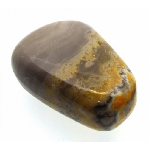 Bumble Bee Jasper Tumblestone Specimen 14