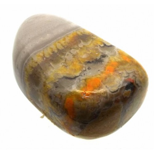 Bumble Bee Jasper Tumblestone Specimen 03