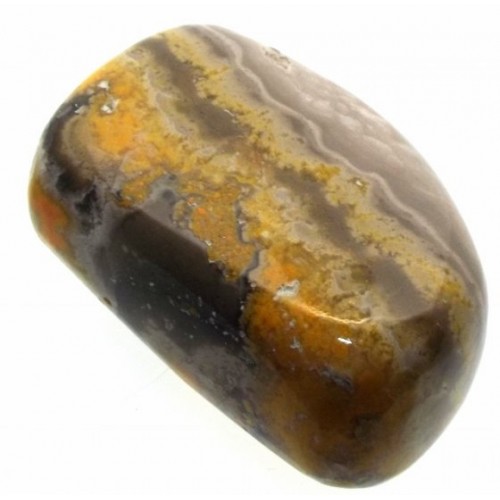 Bumble Bee Jasper Tumblestone Specimen 07