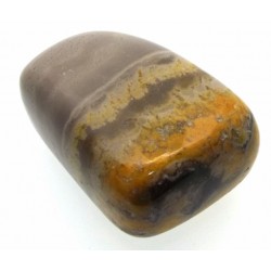 Bumble Bee Jasper Tumblestone Specimen 08