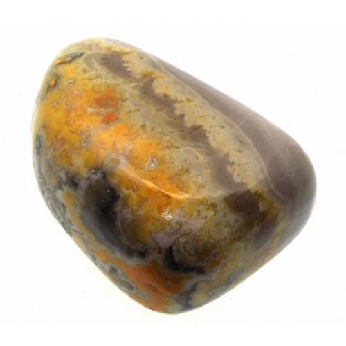 Bumble Bee Jasper Tumblestone Specimen 09